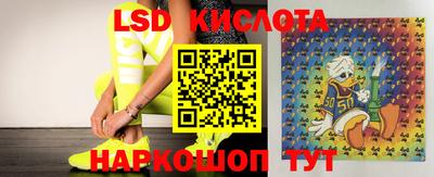 кристаллы Сланцы