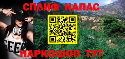 гашик Славгород