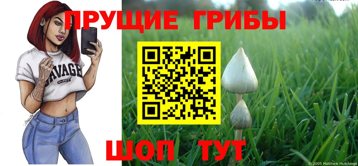 Малоярославец  Галлюциногенные грибы Magic Shrooms  Псилоцибиновые грибы MAGIC MUSHROOMS  Вход с VPN 